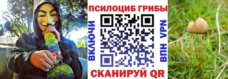 Псилоцибиновые грибы мухоморы  Тавда 